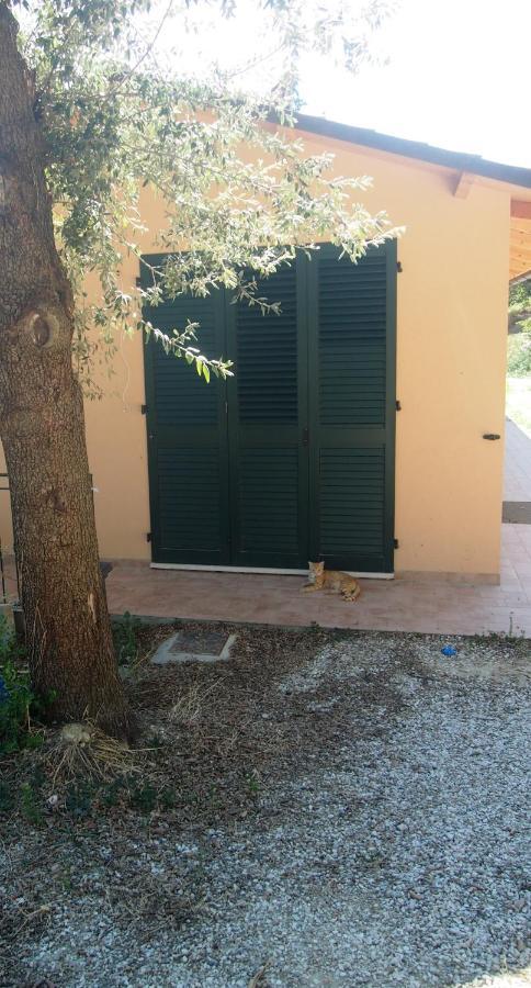 Agriturismo Ardizio 43 Πέζαρο Εξωτερικό φωτογραφία