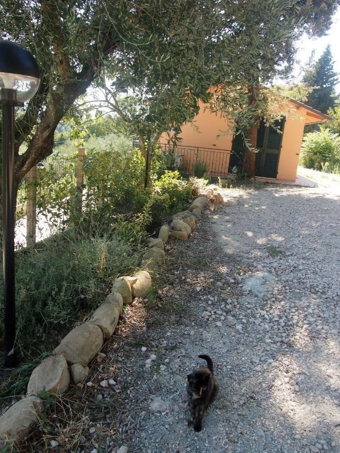 Agriturismo Ardizio 43 Πέζαρο Εξωτερικό φωτογραφία