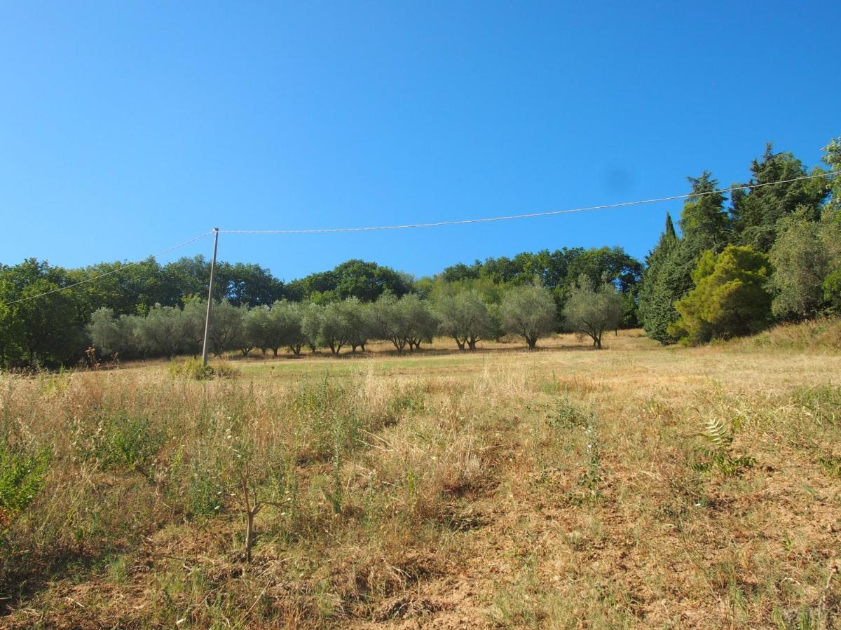 Agriturismo Ardizio 43 Πέζαρο Εξωτερικό φωτογραφία